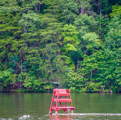 Scenery Around Lake Lure North Carolina